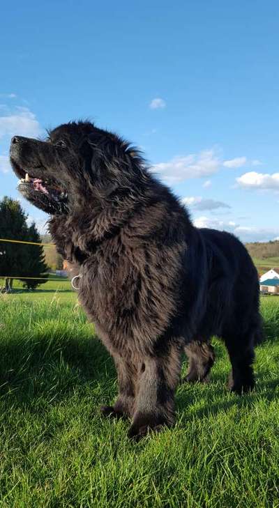 Foto-Challange No.1 - Alles aber nicht die Kamera-Beitrag-Bild