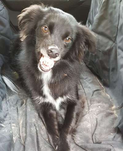 Her mit dem Grimassen-Beitrag-Bild