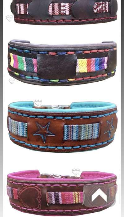 Halsband-Beitrag-Bild