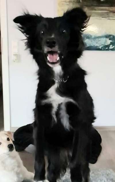 Her mit dem Grimassen-Beitrag-Bild