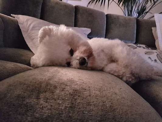 Lieblingsbild :D-Beitrag-Bild