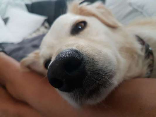 Lieblingsbild :D-Beitrag-Bild