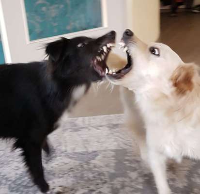 Her mit dem Grimassen-Beitrag-Bild