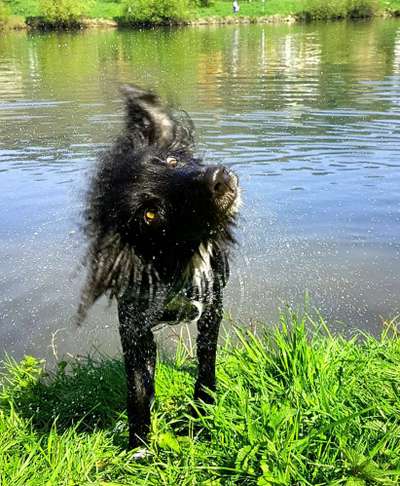 Lieblingsbild :D-Beitrag-Bild