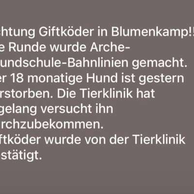 Giftköder-Giftköder!-Bild