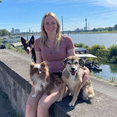 Hundetreffen-Gemeinsamer Hundesport-Profilbild