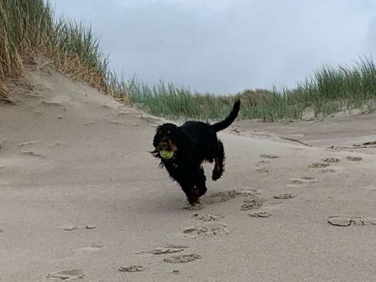 Fotochallenge 27-Beitrag-Bild