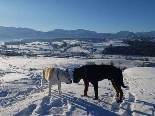 Fotochallenge Nr. 62 Romantische Momente-Beitrag-Bild