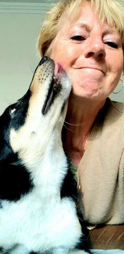 Küsschenbilder-Beitrag-Bild