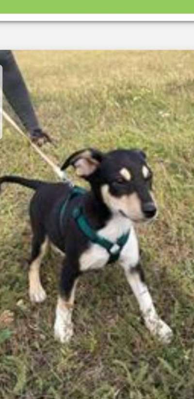 Sie werden so schnell erwachsen ...-Beitrag-Bild