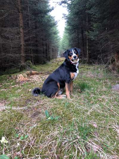 Fotowettbewerb Natur-Beitrag-Bild
