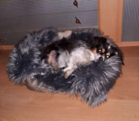 Lieblings Fotos-Beitrag-Bild