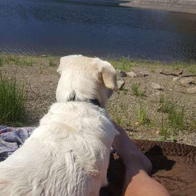 Schöne Badestellen-Beitrag-Bild