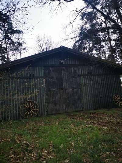 Hundeauslaufgebiet-Harxbüttel-Bild