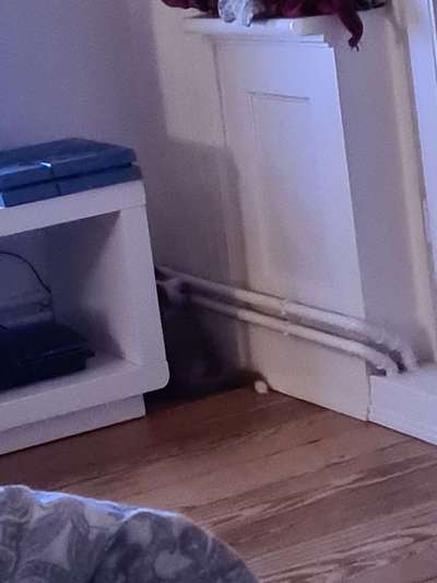 Die unbequemsten und lustigsten Schlafpositionen-Beitrag-Bild