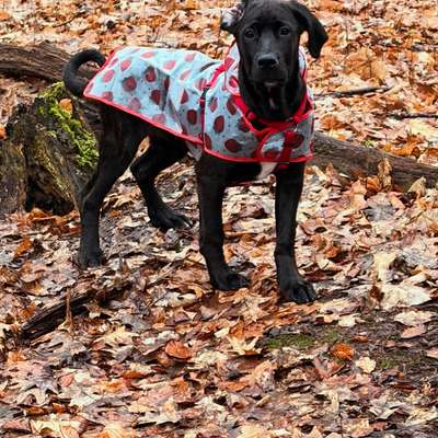 Deckentraining, Ruhe, Alleinsein-Beitrag-Bild