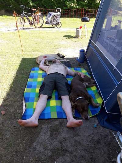 Lieblingsbild-Beitrag-Bild