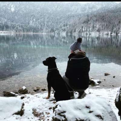 Hundetreffen-Gemeinsame Touren für große Hunde 😊