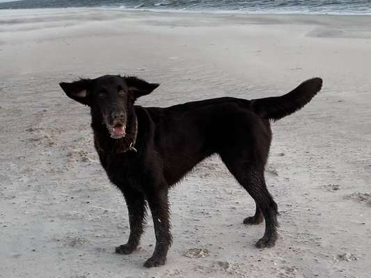 Lieblingsbild-Beitrag-Bild