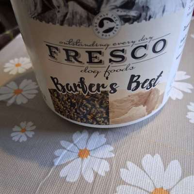 Blutiger Anfänger-Beitrag-Bild