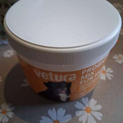 Blutiger Anfänger-Beitrag-Bild