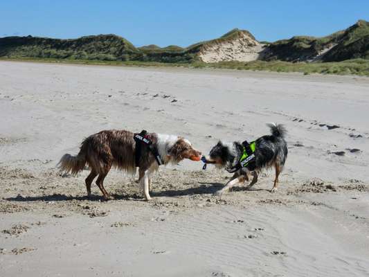 Fotochallenge Nr.100 Urlaubsimpressionen-Beitrag-Bild