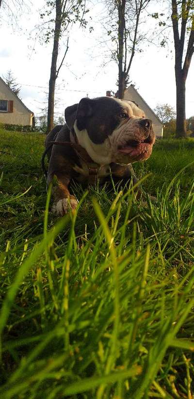 Lieblingsbild-Beitrag-Bild