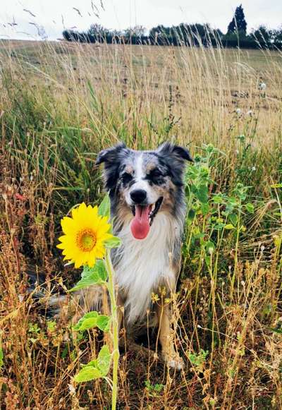 Handy-Foto-Challange Nr.9-Beitrag-Bild