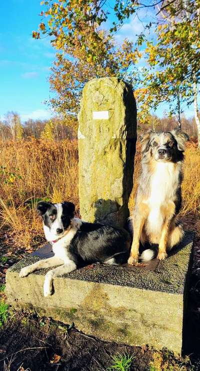 Dogorama Foto Challenge - Wanderziel-Beitrag-Bild