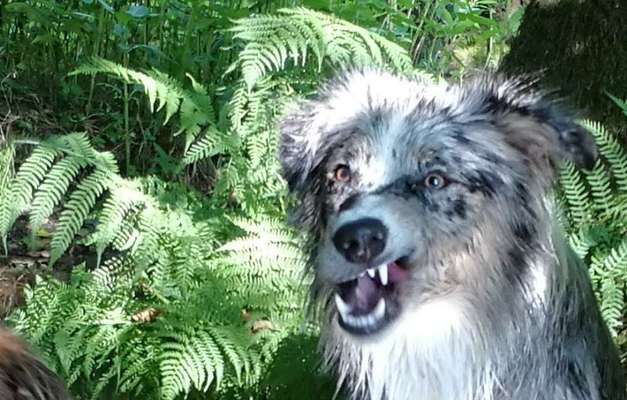 Handy-foto Challange nr. 11-Beitrag-Bild