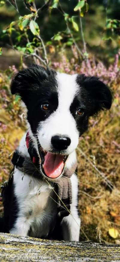 Handy-Foto-Challange Nr.9-Beitrag-Bild