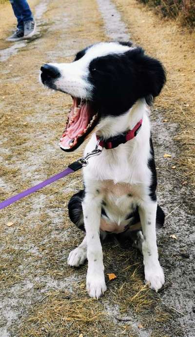 Handy-foto Challange nr. 11-Beitrag-Bild