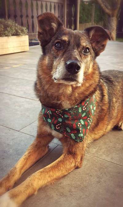 Fotochallenge Nr. 56 - geliebte Senioren-Beitrag-Bild