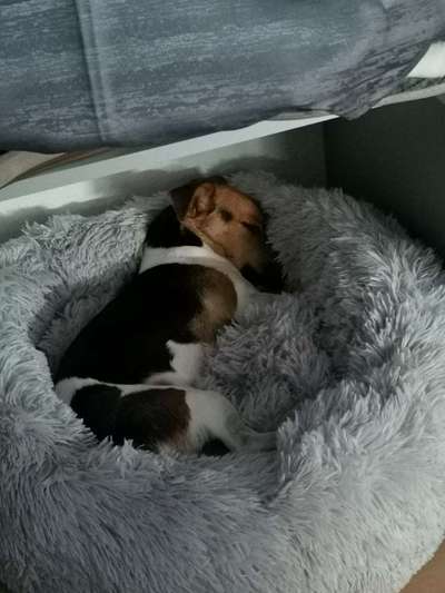 Erfahrung mit Wolkenbett-Beitrag-Bild