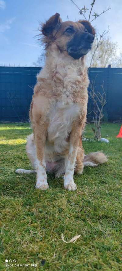 Lieblingsbild :D-Beitrag-Bild