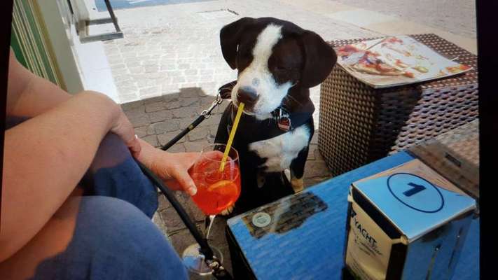 Lustige Bilder-Beitrag-Bild