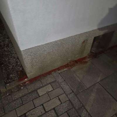Giftköder-Rattengift, Unbekanntes rötliches Pulver-Bild