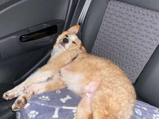 CHALLENGE NR. 18 - ON TOUR-Beitrag-Bild