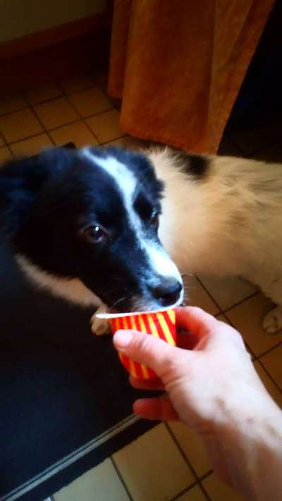 Sie werden so schnell erwachsen ...-Beitrag-Bild