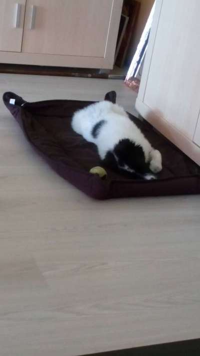 Blick fürs Detail!-Beitrag-Bild