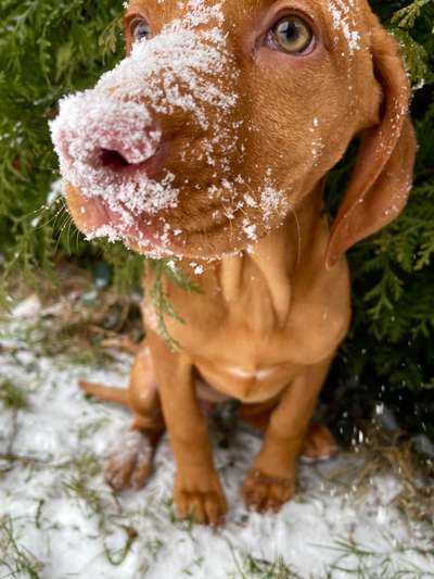 Fotochallenge Nr. 67: Euer Lieblingsbild-Beitrag-Bild