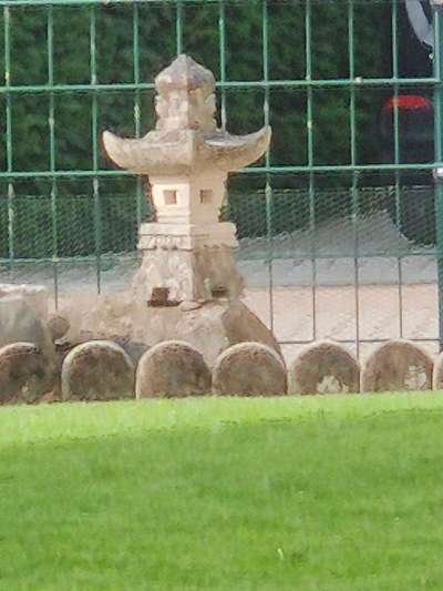 Wie heißt dein Hund?-Beitrag-Bild