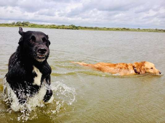 Fotochallenge 37- Sommerfeeling-Beitrag-Bild