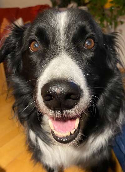 Fotochallange Nr. 57     PORTRÄT.   Beendet!!!!!!!!-Beitrag-Bild