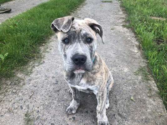 Lieblings Schnappschuss?-Beitrag-Bild