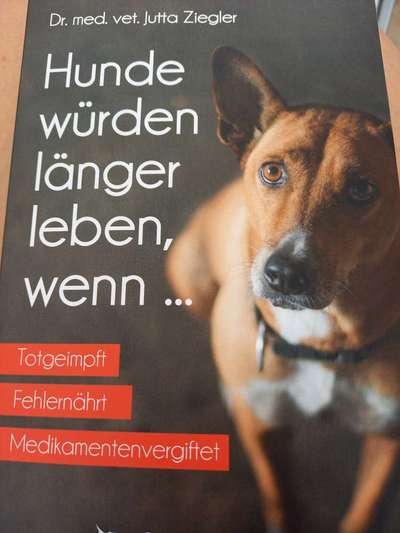 Impfschäden beim Hund-Beitrag-Bild
