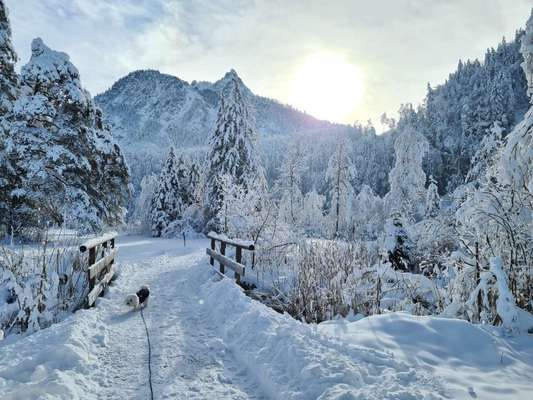 Was hat euch heute gefreut?-Beitrag-Bild