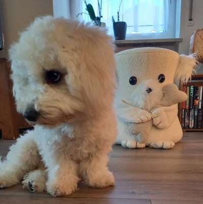 Fotochallenge 88-Beitrag-Bild