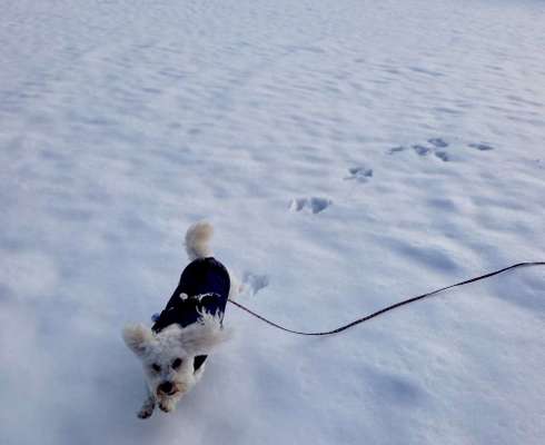 Was hat euch heute gefreut?-Beitrag-Bild