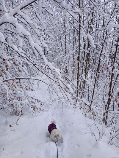 Was hat euch heute gefreut?-Beitrag-Bild